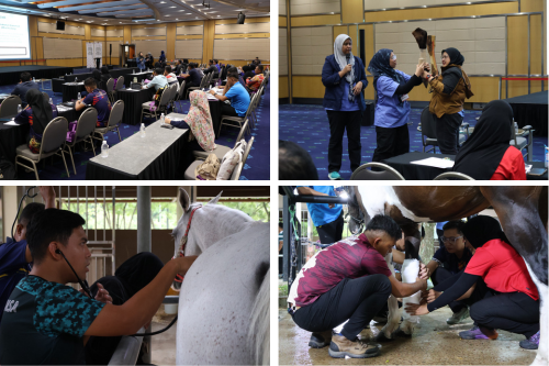 UPM Strengthens the Equine Industry Through a Training Course Sponsored by Lembaga Totalisator Malaysia